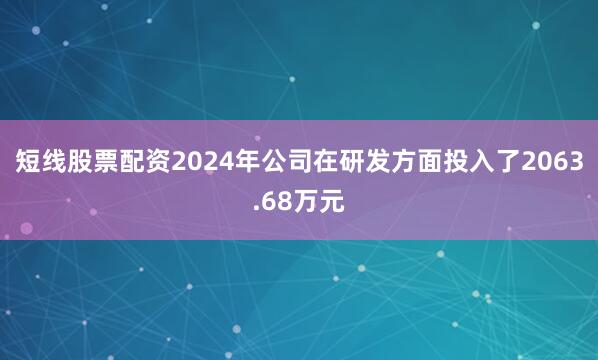 短线股票配资2024年公司在研发方面投入了2063.68万元