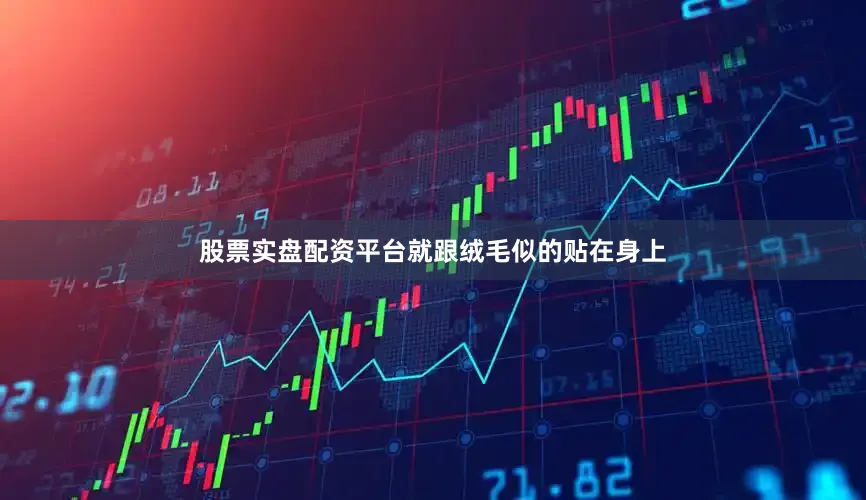 股票实盘配资平台就跟绒毛似的贴在身上