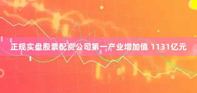 正规实盘股票配资公司第一产业增加值 1131亿元